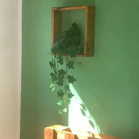 Rose * 奥西莫